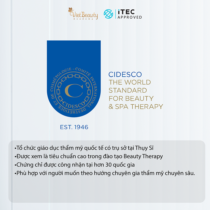 Top Các Văn Bằng Thẩm Mỹ Quốc Tế Được Đánh Giá Cao Trong Ngành Làm Đẹp | VietBeauty Academy Top Các Văn Bằng Thẩm Mỹ Quốc Tế Được Đánh Giá Cao Trong Ngành Làm Đẹp | VietBeauty Academy